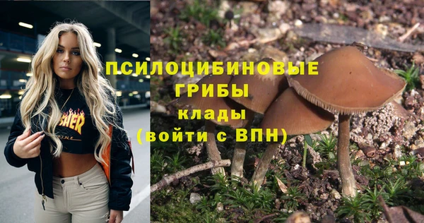 трава Алзамай