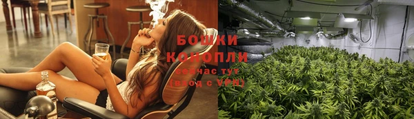 трава Алзамай