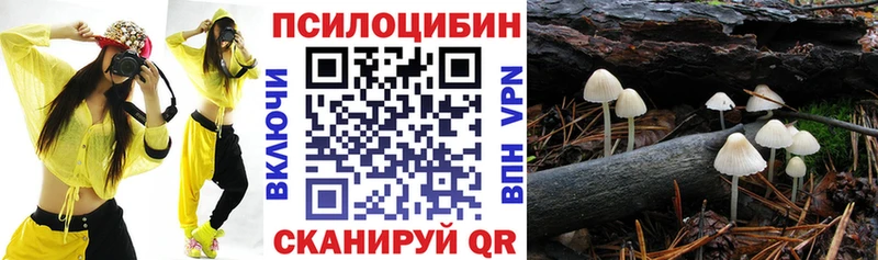 mega ТОР  Нурлат  Псилоцибиновые грибы мицелий 