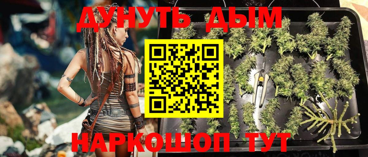 Канабис SATIVA & INDICA  Шишки марихуана OG Kush  Нурлат  Вход с VPN 